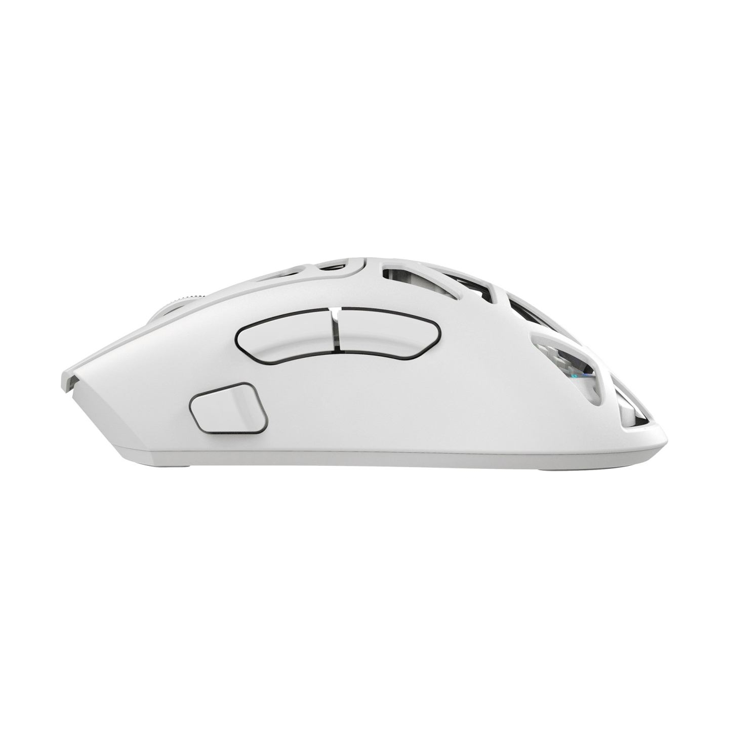 White Shark MORIEN WGM-5025  White