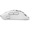 White Shark MORIEN WGM-5025  White