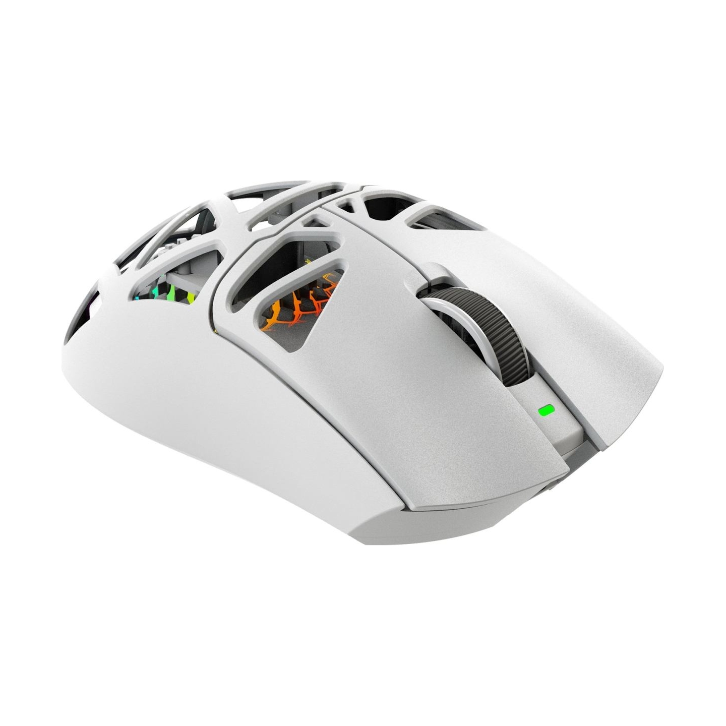 White Shark MORIEN WGM-5025  White