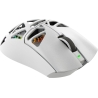White Shark MORIEN WGM-5025  White
