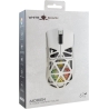 White Shark MORIEN WGM-5025  White