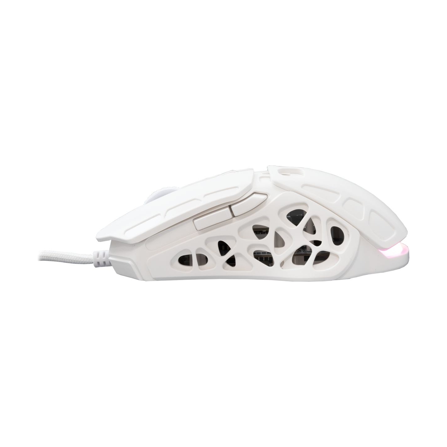 White Shark GM-5016 Ector White