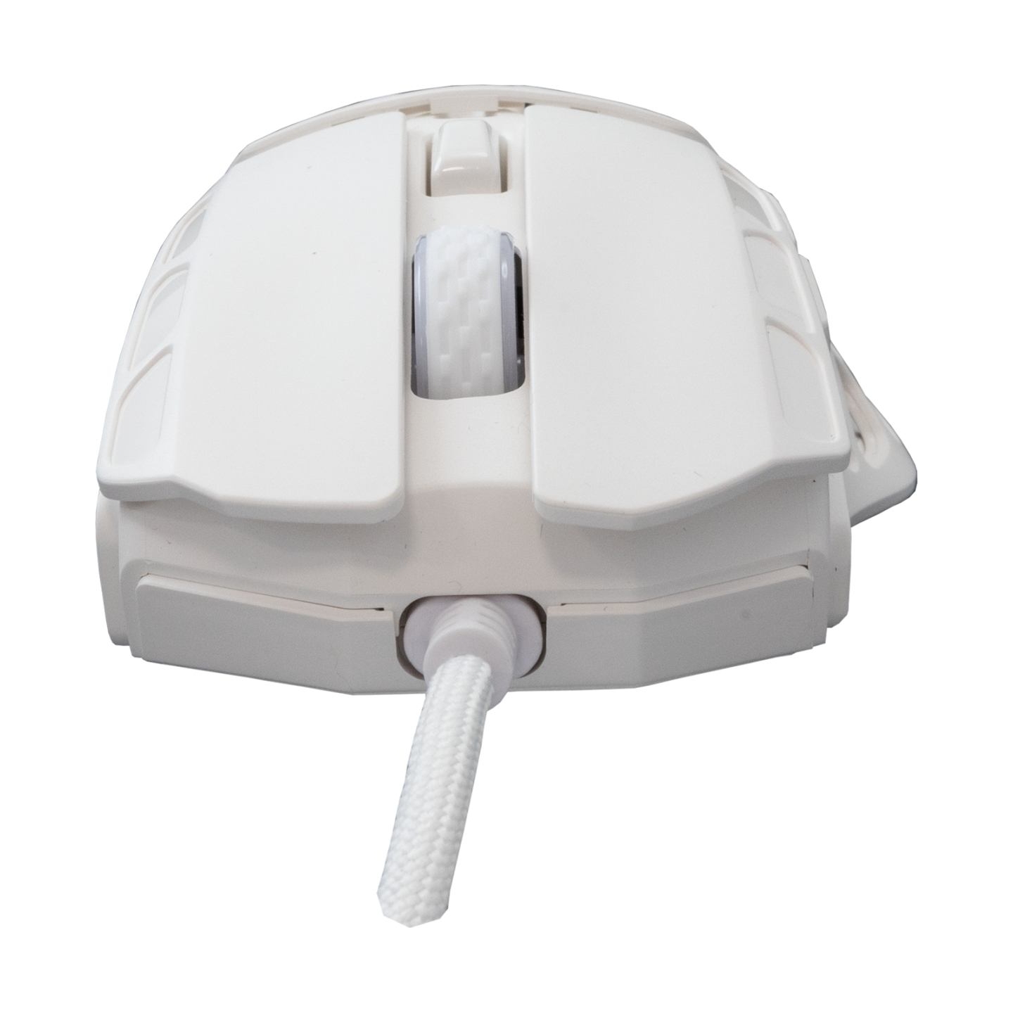 White Shark GM-5016 Ector White