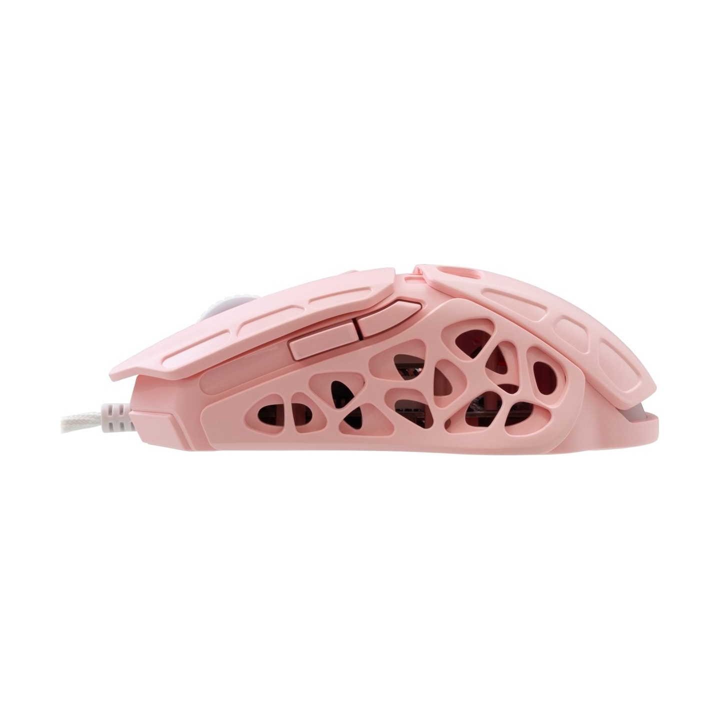 White Shark GM-5016 Ector Pink