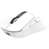 White Shark GAWAIN-W 500mAh/12000DPI/56g, White