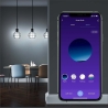 Tellur Smart WiFi Bulb E27, 9W, White/Warm/RGB, Dimmer