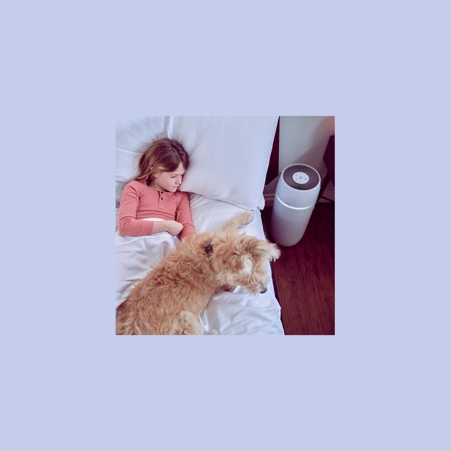Homedics AP-PET35WT-EU TotalClean PetPlus 5 in 1 Air Purifier