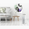 Homedics AP-PET35WT-EU TotalClean PetPlus 5 in 1 Air Purifier