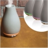 Ellia ARM-510GYA-WWX Blossom Ultrasonic Diffuser with Ambient Mood Lighting
