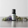 Ellia ARM-EO15WD-WW Wind Down 100% Pure Essential Oil - 15ml