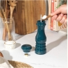 Salter BW13676GREU7 Chester Salt & Pepper Mill Green