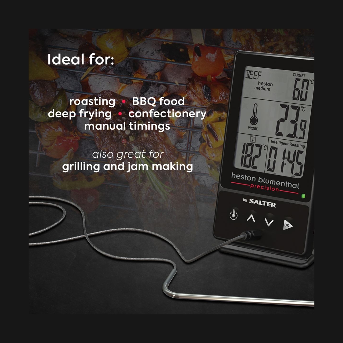 Salter 540A HBBKCR Heston Blumenthal Precision 5-in-1 Digital Cooking Thermometer