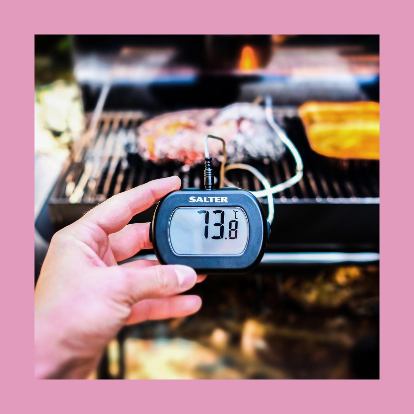 Salter 515 BKCR Leave-In Digital Thermometer