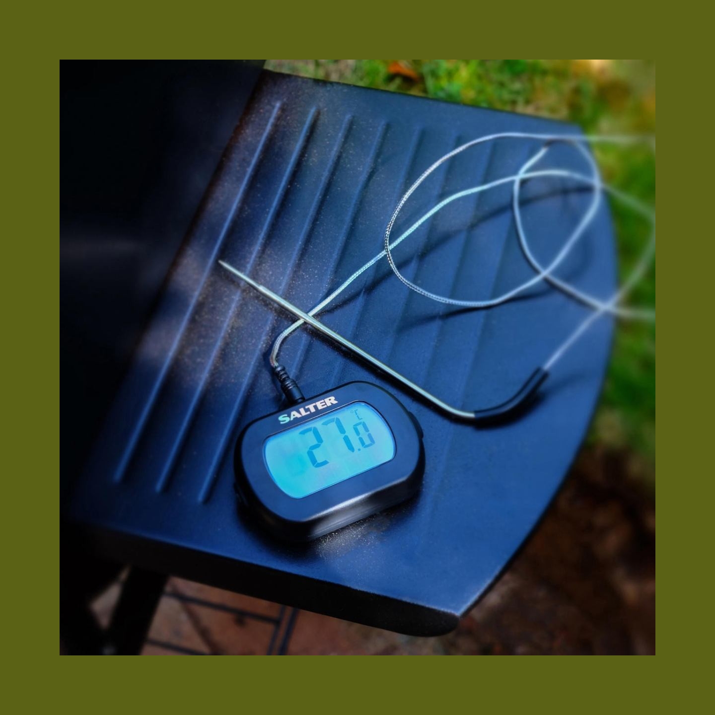 Salter 515 BKCR Leave-In Digital Thermometer
