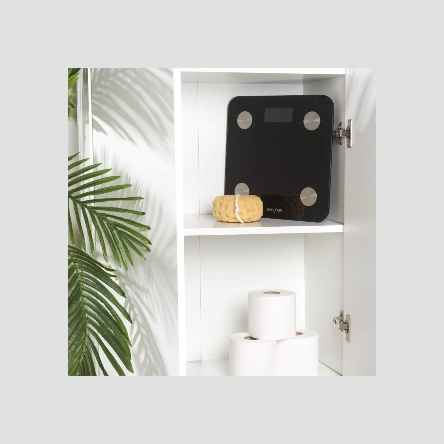 Salter SA00655FEU6 Smart Scale
