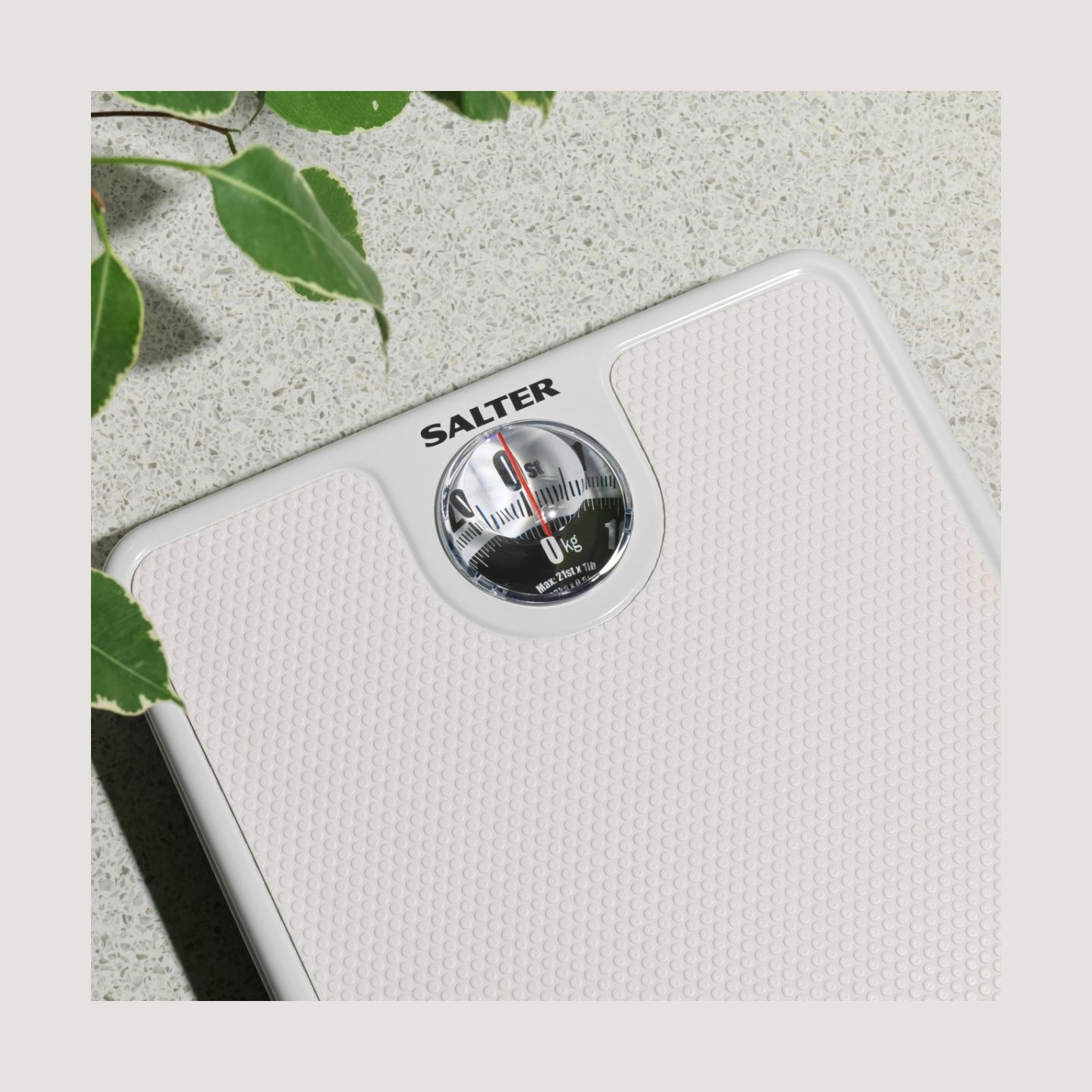 Salter 489 WHFEU12 Large Dial Mechanical Bathroom Scale