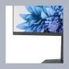 Thomson LCD Monitor|THOMSON|27 "|1920 x 1080 pixels|Full HD|Native aspect ratio 16:9|Flat|M27FB5C15