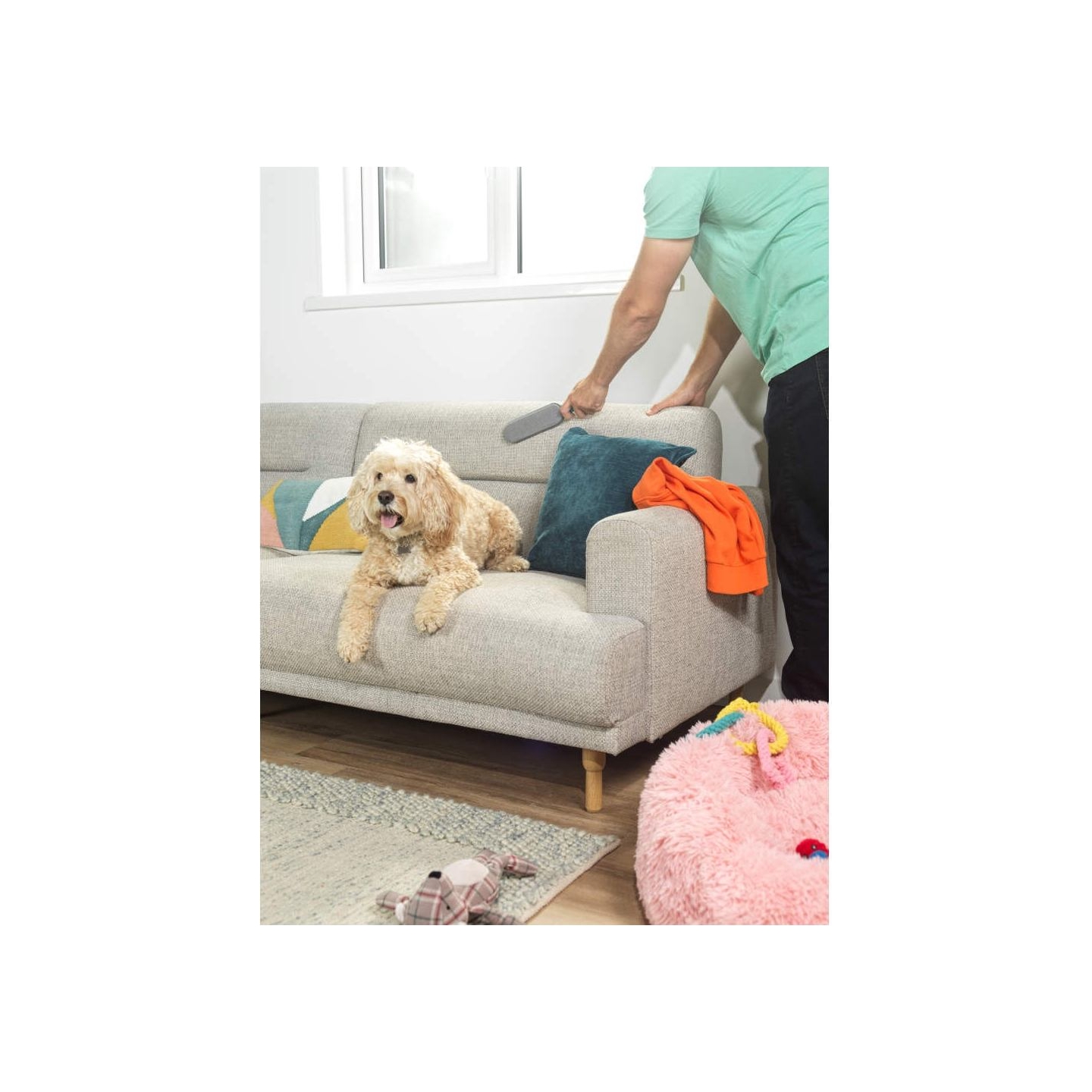 Beldray LA00000017TQEU7 Lint Brush