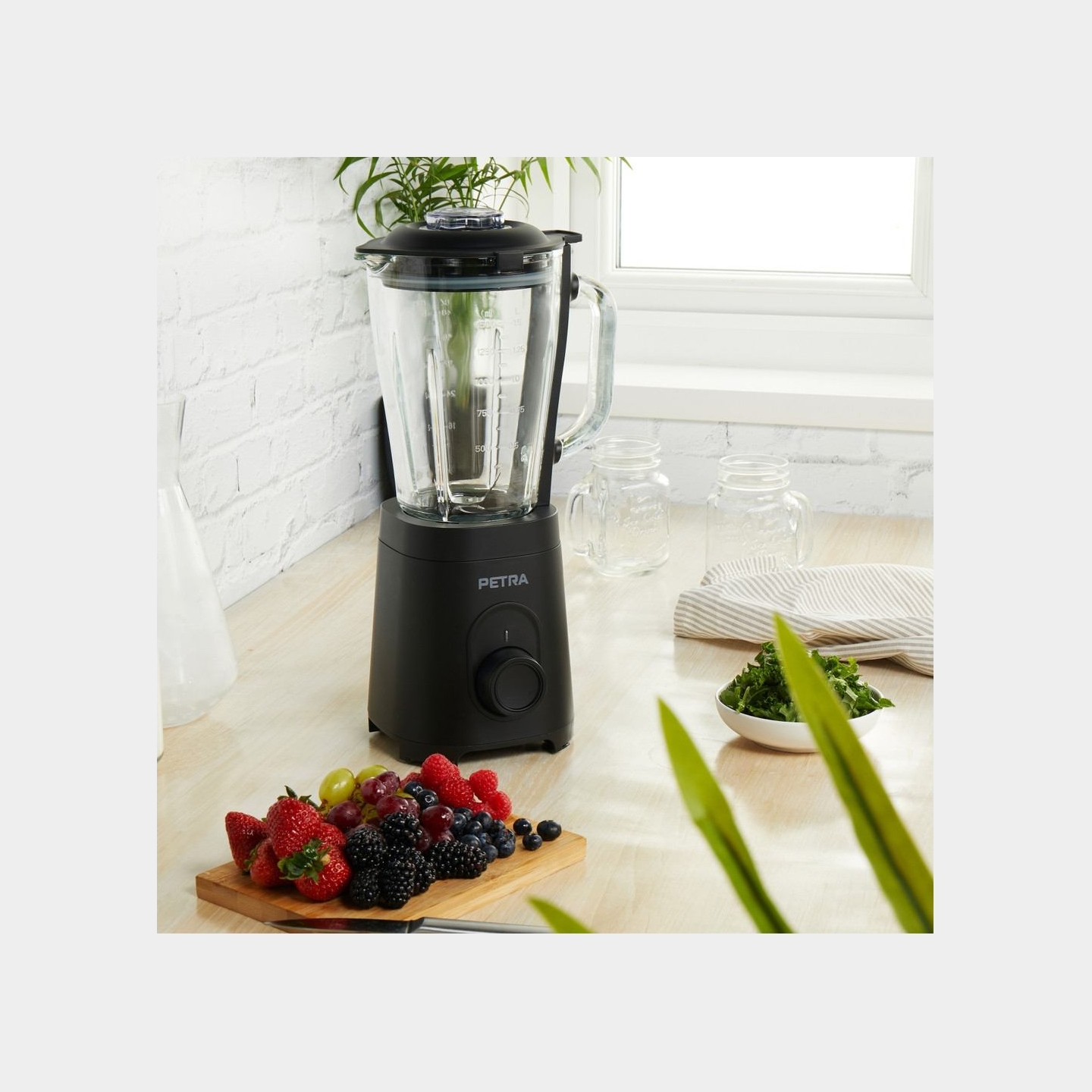Petra PT5531MBLKVDE Glass Jug blender black