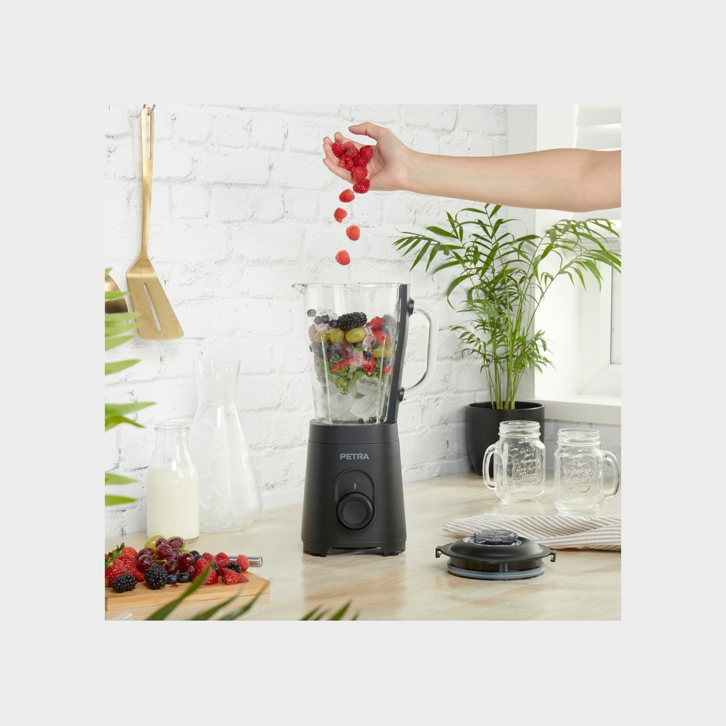 Petra PT5531MBLKVDE Glass Jug blender black