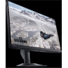 Dell Alienware 25 Gaming monitor AW2524HF - 62.20 cm / 210-BJPH