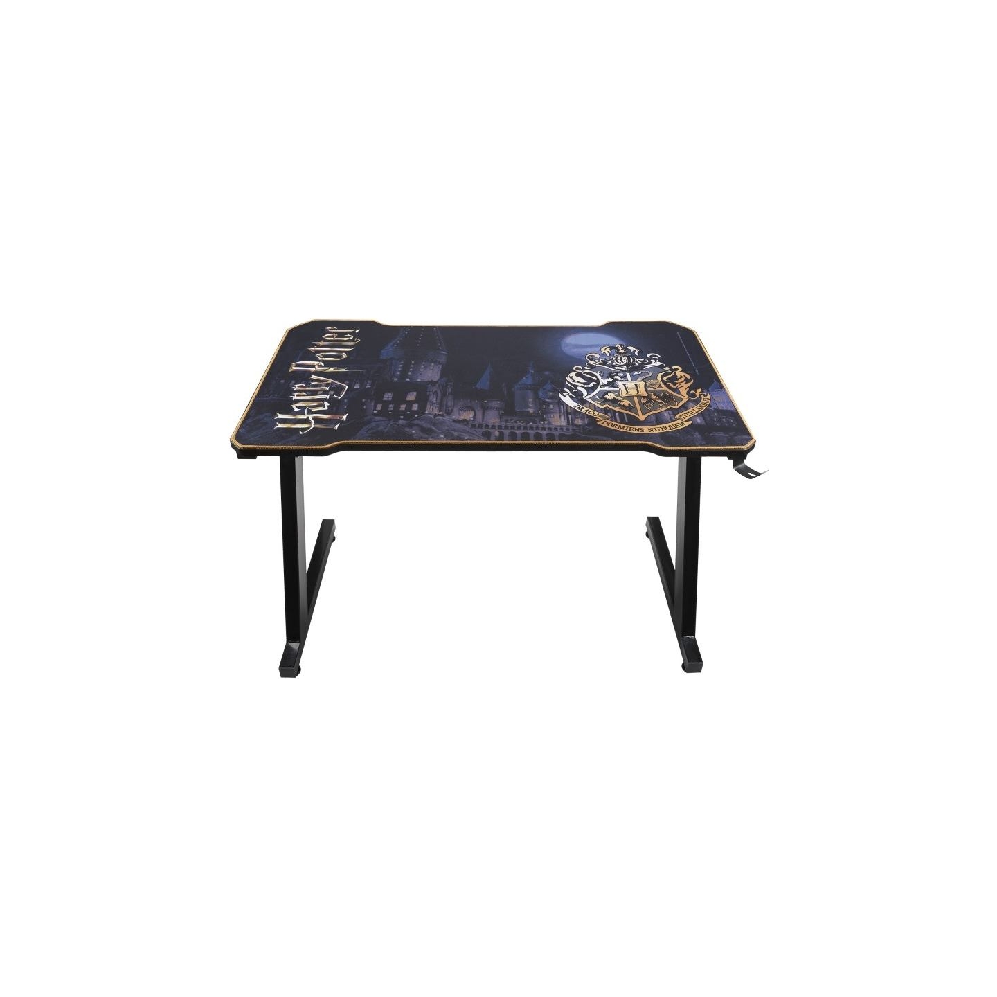 Subsonic Pro Gaming Desk Harry Potter