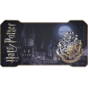 Subsonic Pro Gaming Desk Harry Potter