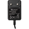 Subsonic Home Charger for Switch