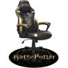 Subsonic Gaming Floor Mat Harry Potter