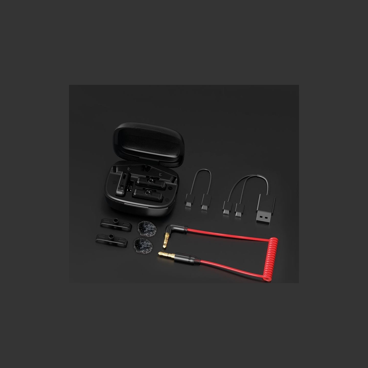 Easypix MyStudio Wireless Mic Duo 62022