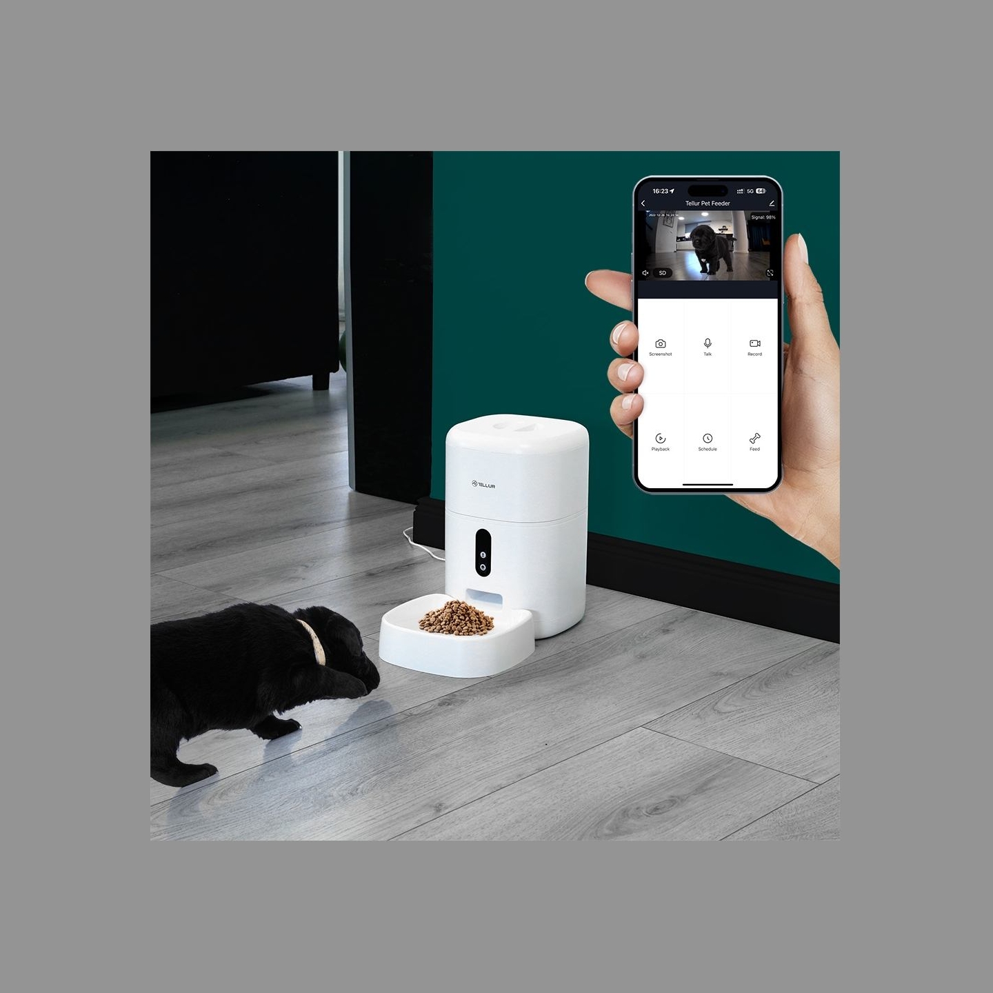 Tellur Smart WiFi Pet Feeder, UltraHD Camera, 4L white