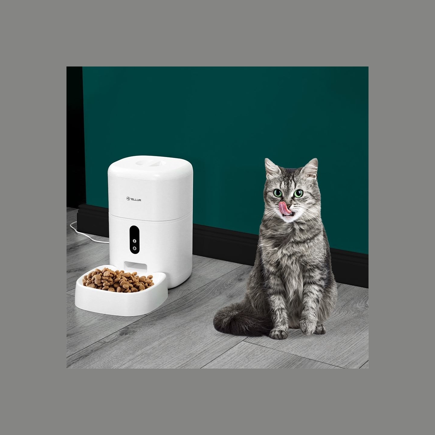 Tellur Smart WiFi Pet Feeder, UltraHD Camera, 4L white
