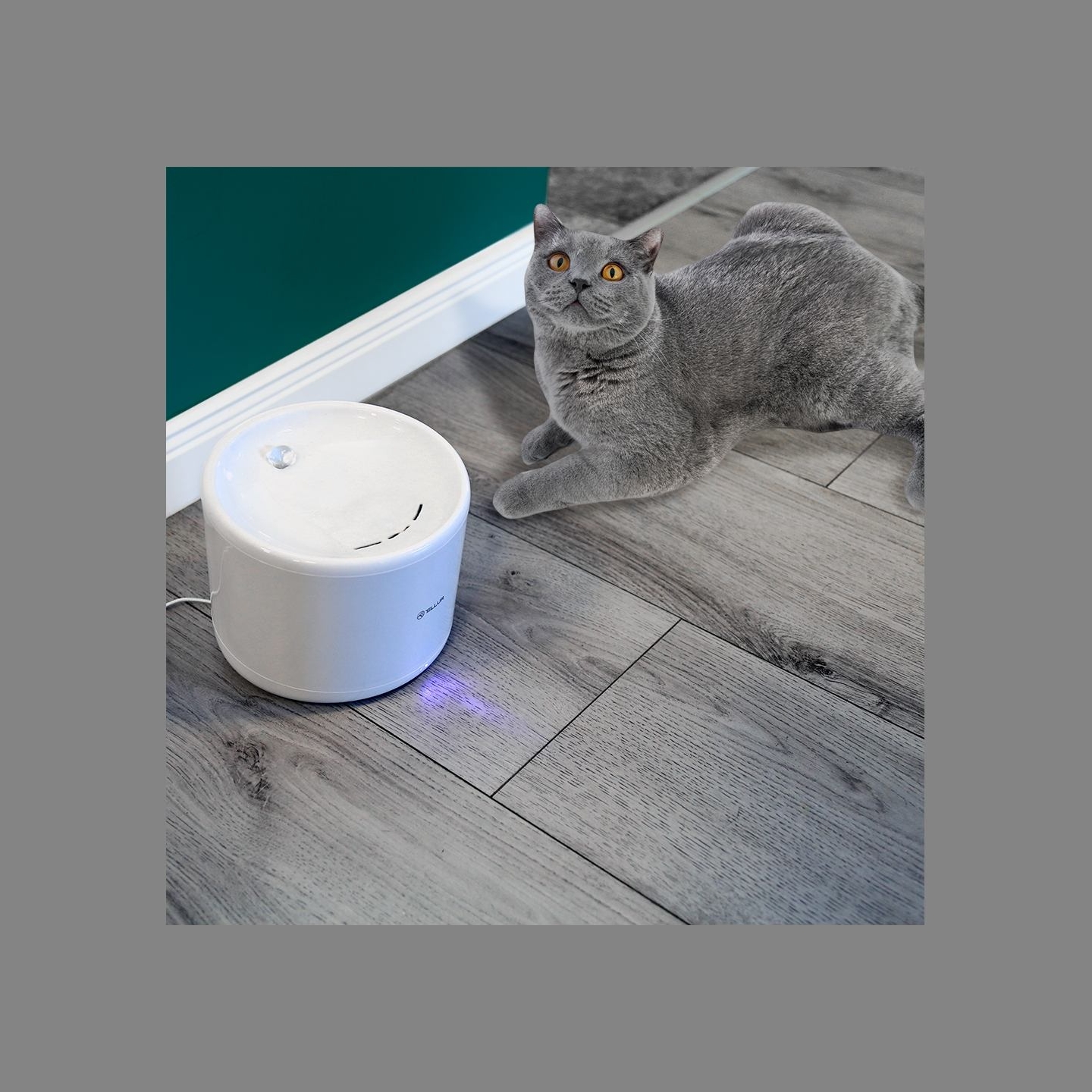 Tellur Smart WiFi Pet Water Dispenser, 2L white
