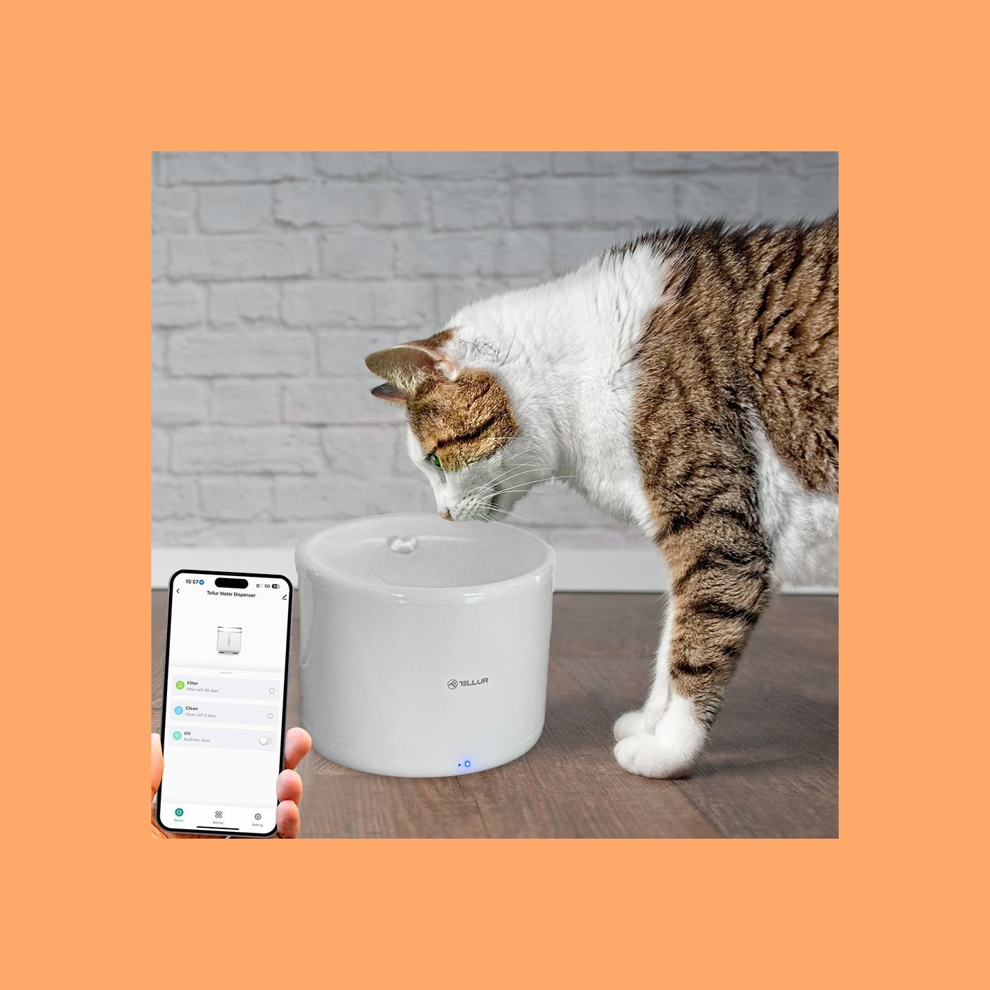Tellur Smart WiFi Pet Water Dispenser, 2L white