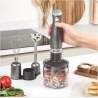 Salter EK2827GUNMETALFVDE  Cosmos 3 in 1  Blender Set