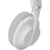 White Shark WGH-2441 Falcon White/Grey