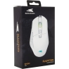 Baracuda BGM-051 Raptor White