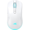 Baracuda BGM-122 Turtle White