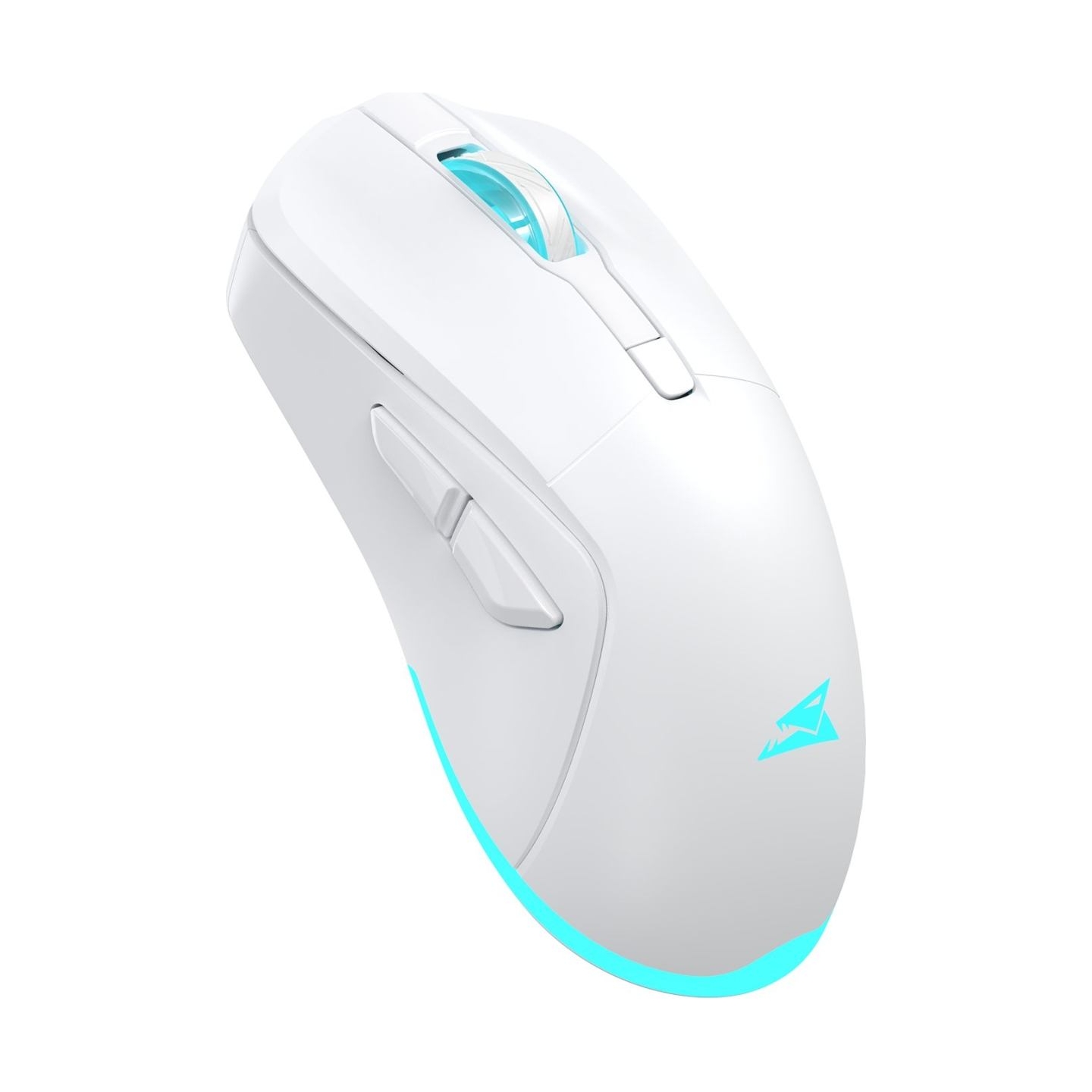 Baracuda BGM-122 Turtle White