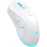 Baracuda BGM-122 Turtle White