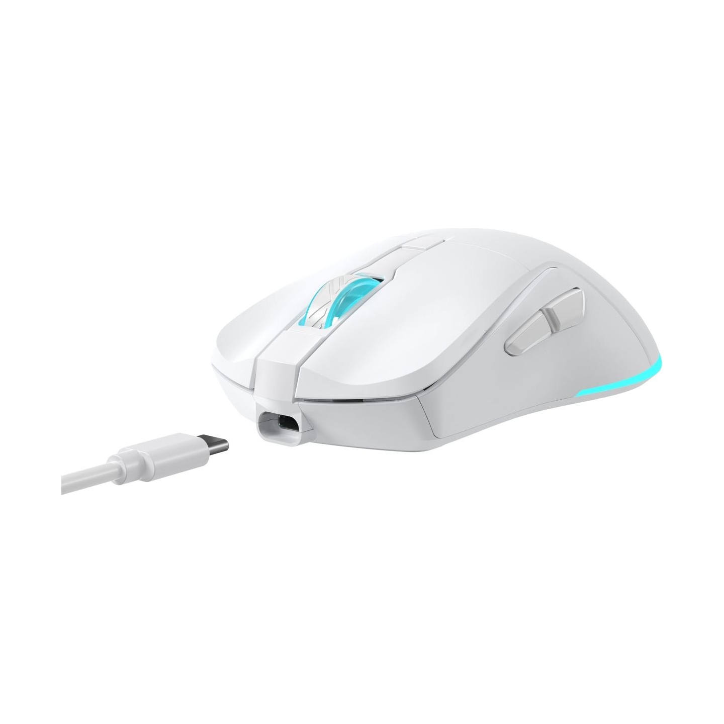 Baracuda BGM-122 Turtle White