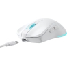 Baracuda BGM-122 Turtle White