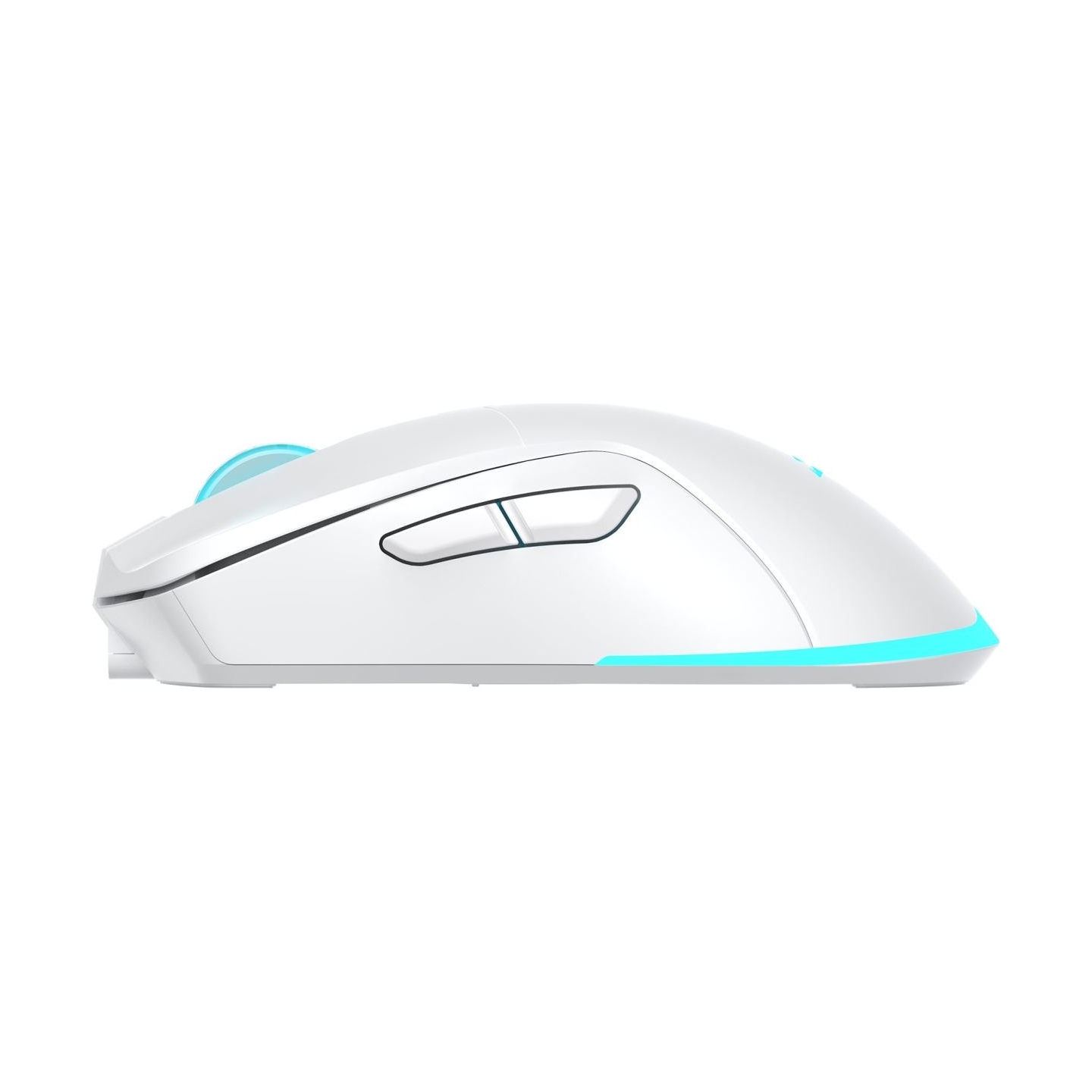 Baracuda BGM-122 Turtle White