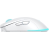 Baracuda BGM-122 Turtle White