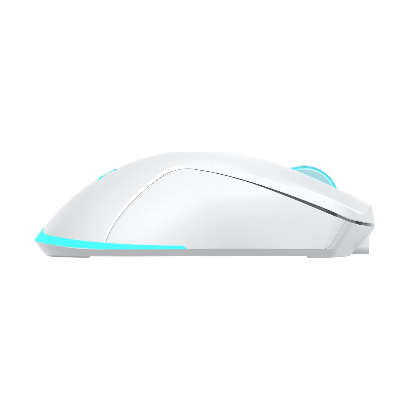 Baracuda BGM-122 Turtle White