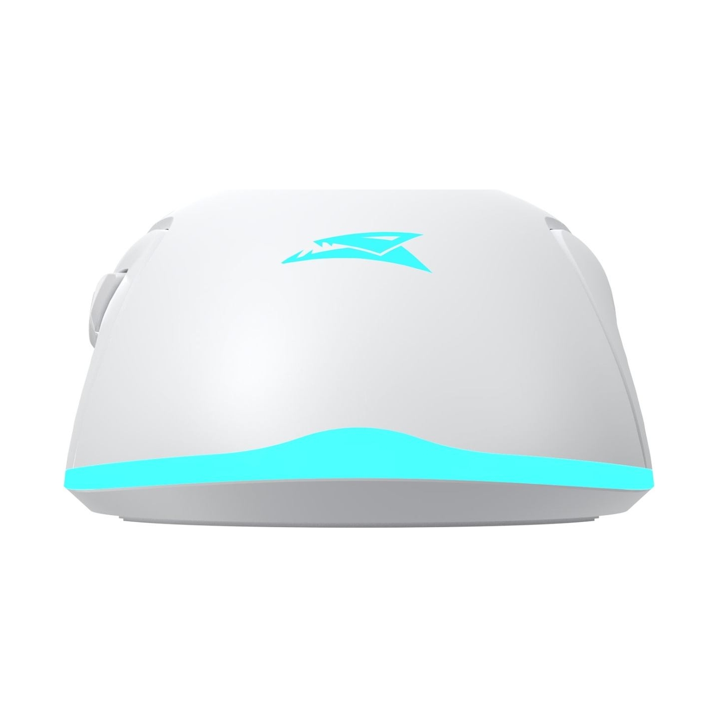 Baracuda BGM-122 Turtle White