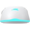 Baracuda BGM-122 Turtle White
