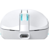 Baracuda BGM-122 Turtle White