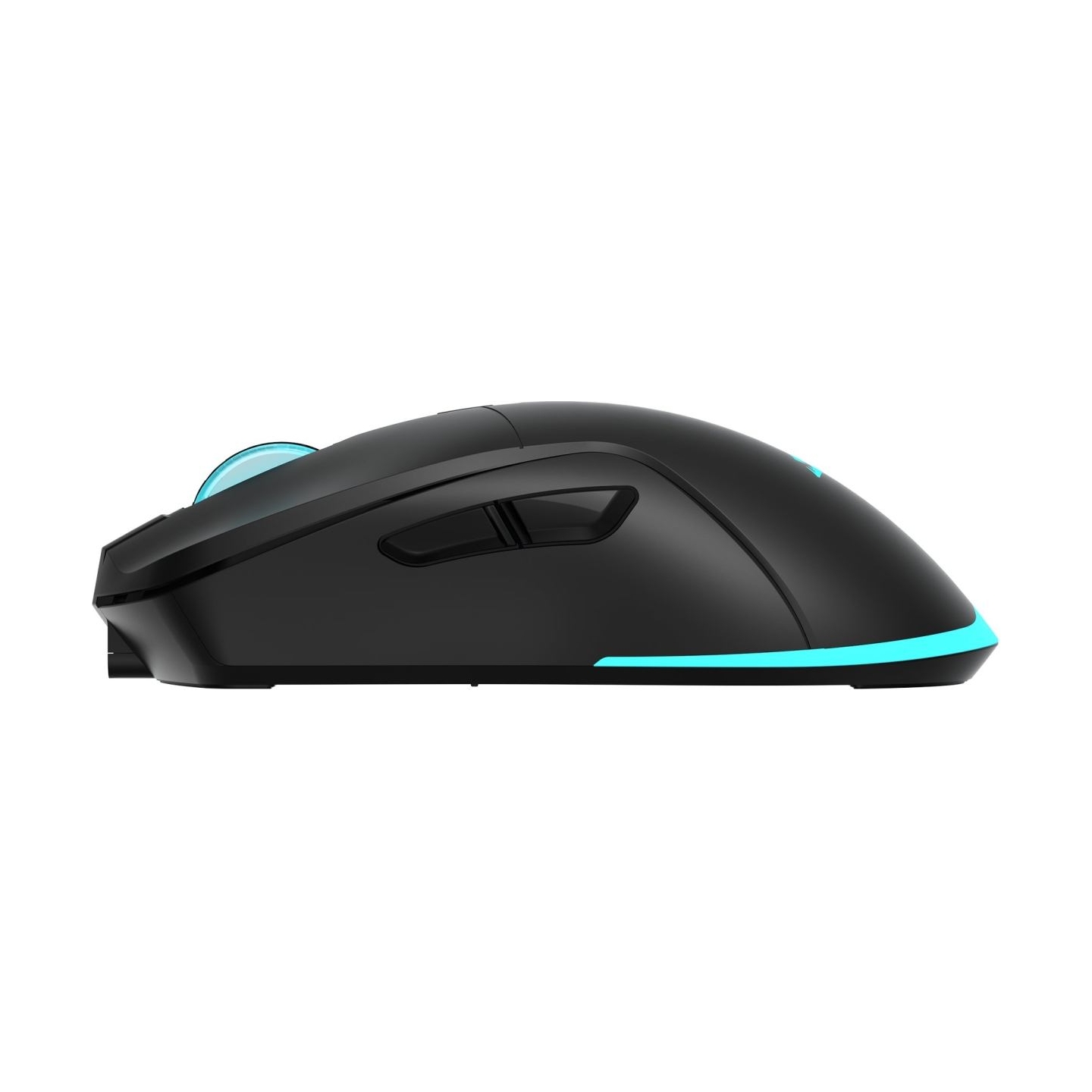 Baracuda BGM-121 Turtle Black