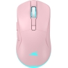Baracuda TURTLE BGM-124 Pink